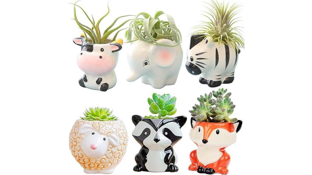 cartoon air plant holders