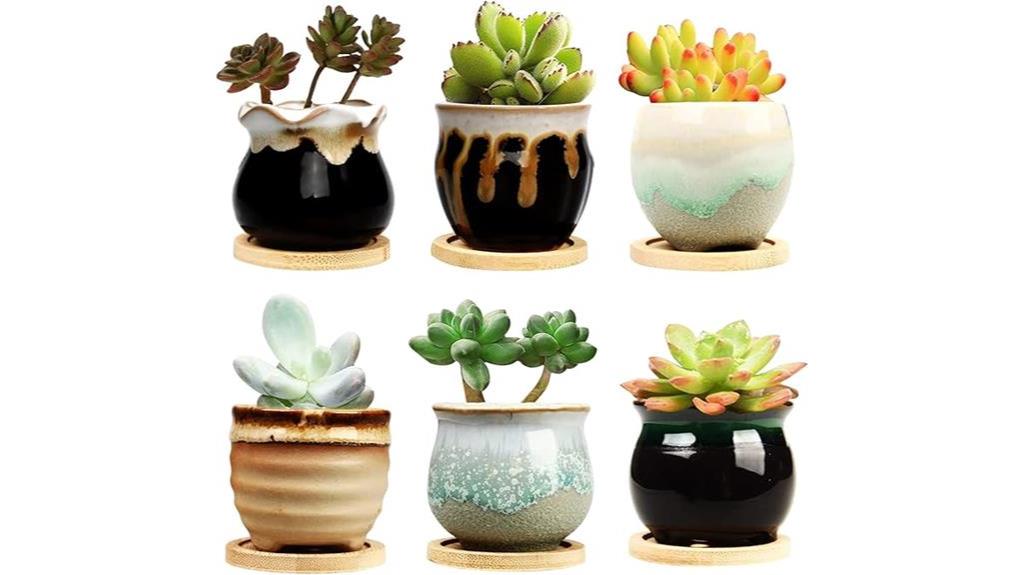 succulent pot with drainage