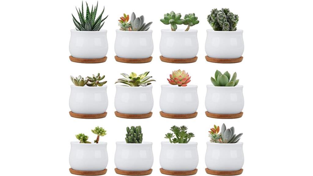 succulent pots with drainage